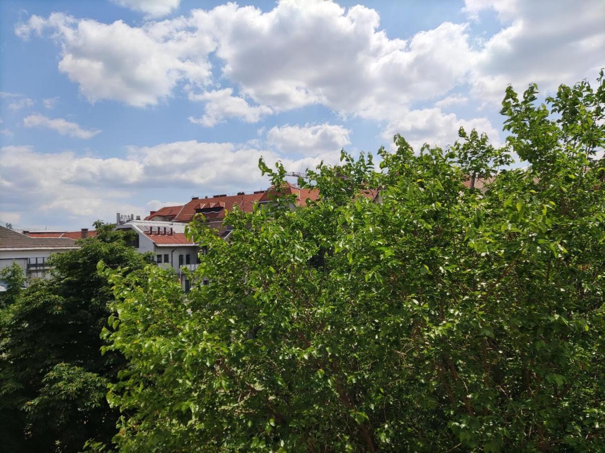 Park View, Close To River, Ac, Bauhaus Vibe, 2 Balconies 布达佩斯 外观 照片
