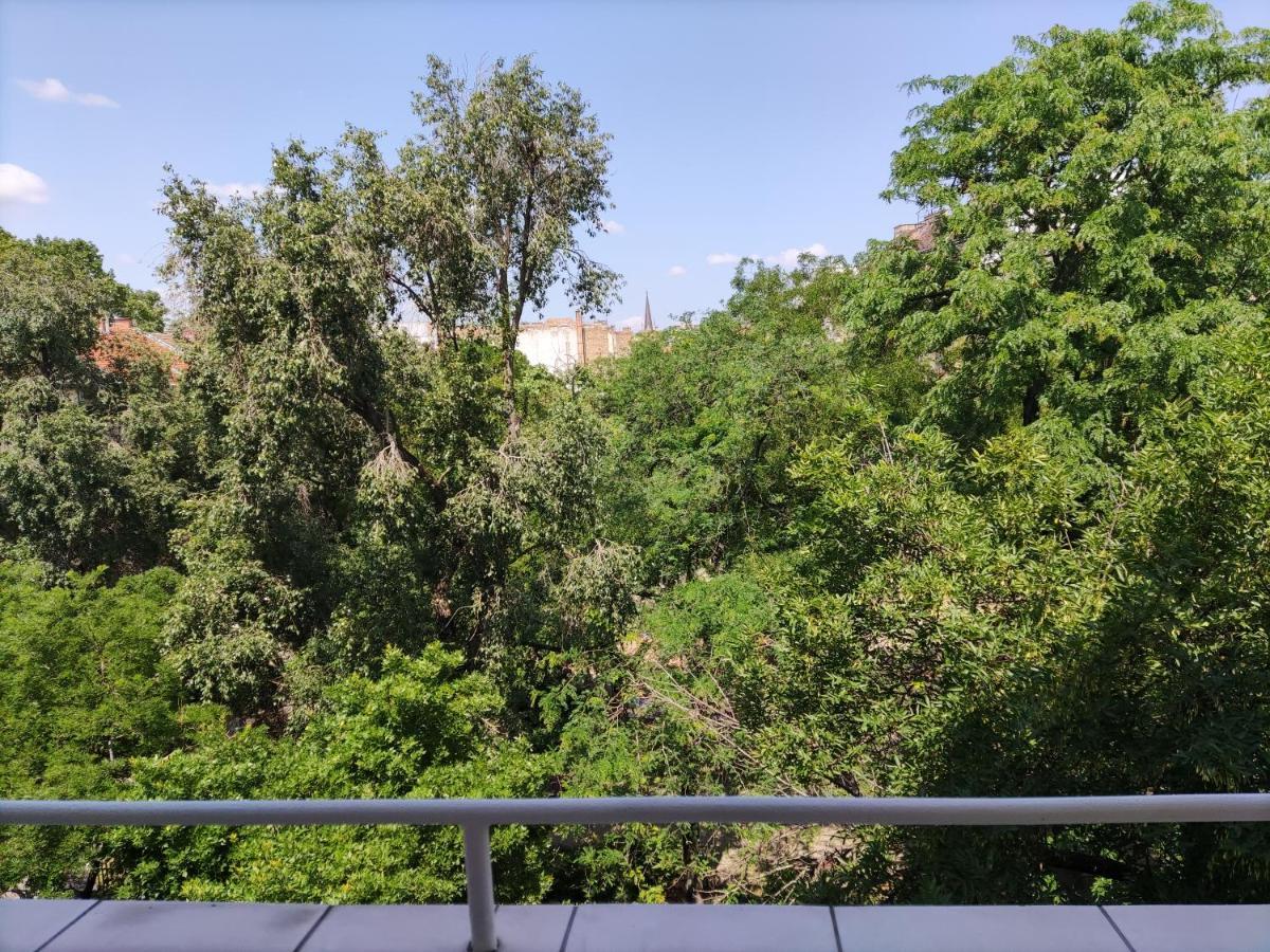 Park View, Close To River, Ac, Bauhaus Vibe, 2 Balconies 布达佩斯 外观 照片